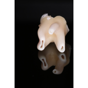 Precision Dental Handpiece